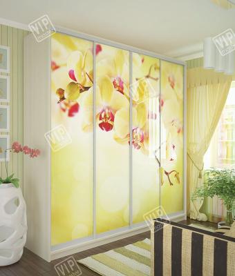 Шкаф-купе 4Д 2,7м (450) foto 2