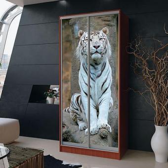 Шкаф-купе 2Д 1,7м МС foto 9