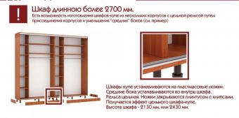Шкаф-купе 2Д 1,7м МС foto 43