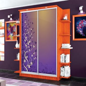 Шкаф-купе 2Д 1,7м МС foto 26