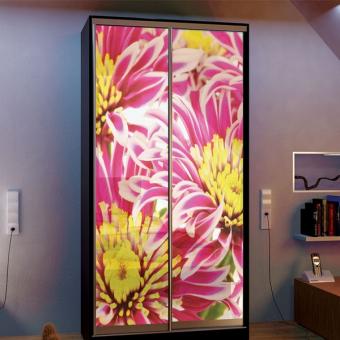 Шкаф-купе 2Д 1,7м МС foto 20