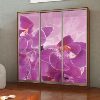 Шкаф-купе 3Д 2,3м МС foto 25