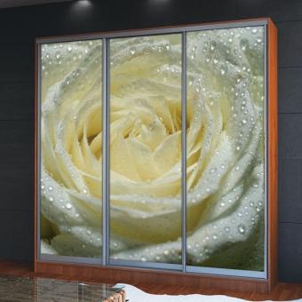 Шкаф-купе 3Д 2,3м МС foto 29