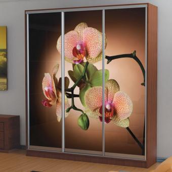 Шкаф-купе 3Д 2,3м МС foto 12