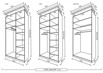 Шкаф-купе Рим-Венециано 2Д 1,2м foto 2