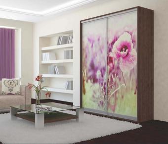 Шкаф-купе Ультра/Люкс 2Д 1,2м foto 3