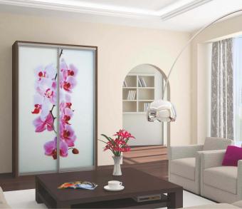 Шкаф-купе Ультра/Люкс 2Д 1,9м foto 4