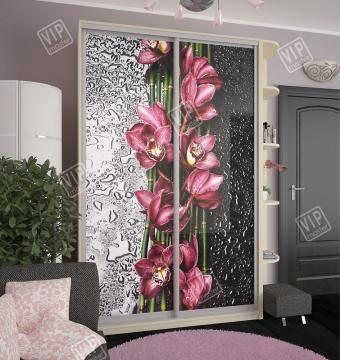 Шкаф-купе 2Д 1,2м (600) foto 3