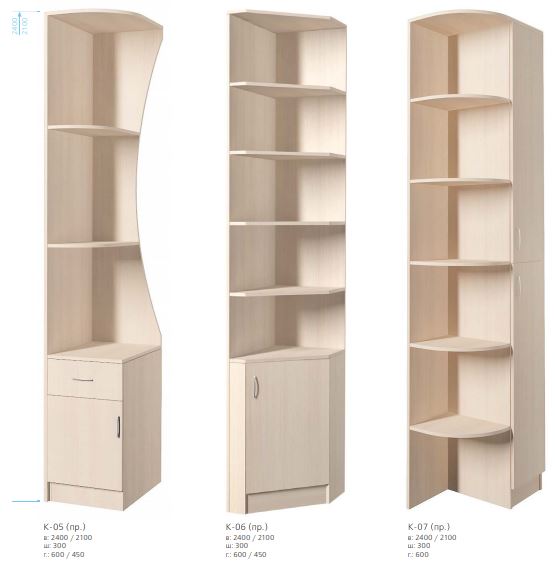 Шкаф-купе Киноман 2,4м %D0%A1%D0%BD%D0%B8%D0%BC%D0%BE%D0%BA(228)