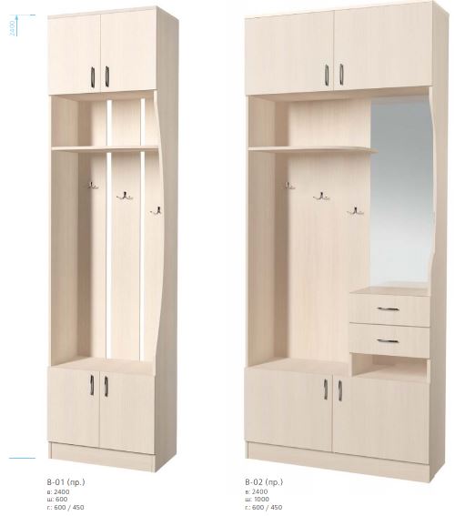 Шкаф-купе Киноман 2,4м %D0%A1%D0%BD%D0%B8%D0%BC%D1%83%D1%86%D1%83%D1%86%D0%BE%D0%BA