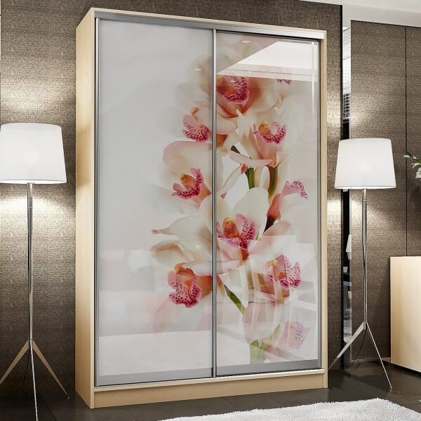 2-х дверные шкафы-купе